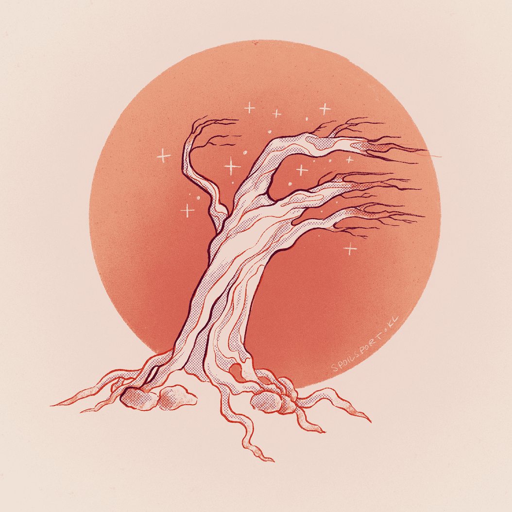Image of a windswept tree on a rocky base with a big red sun behind it