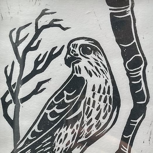 Merlin