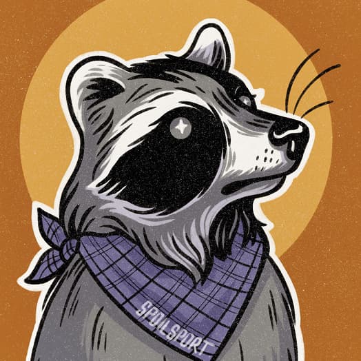 Raccoon Buddy