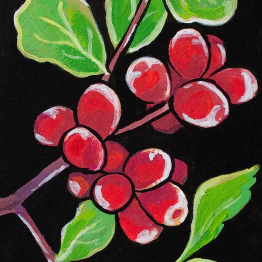 Fragrant Sumac